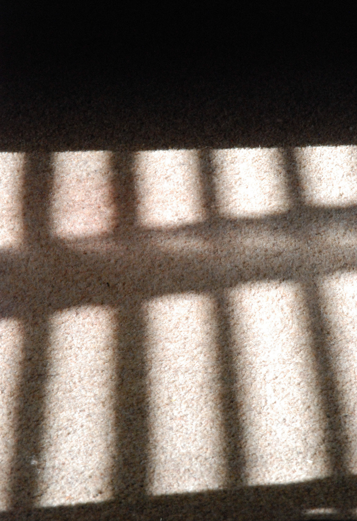 Shadow of bars cc Tony Hammond