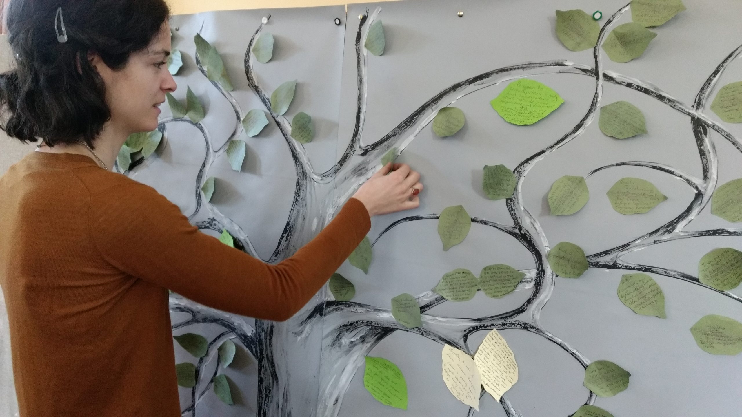 IMG_20170204_092802232 IMG_20170204_092802232