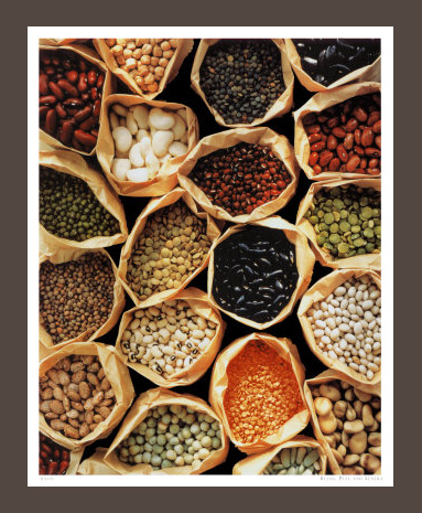 332379465ae12636fd6cb2785d71a0e5