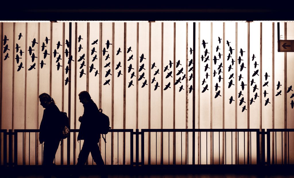 23293848975_105d556051_k