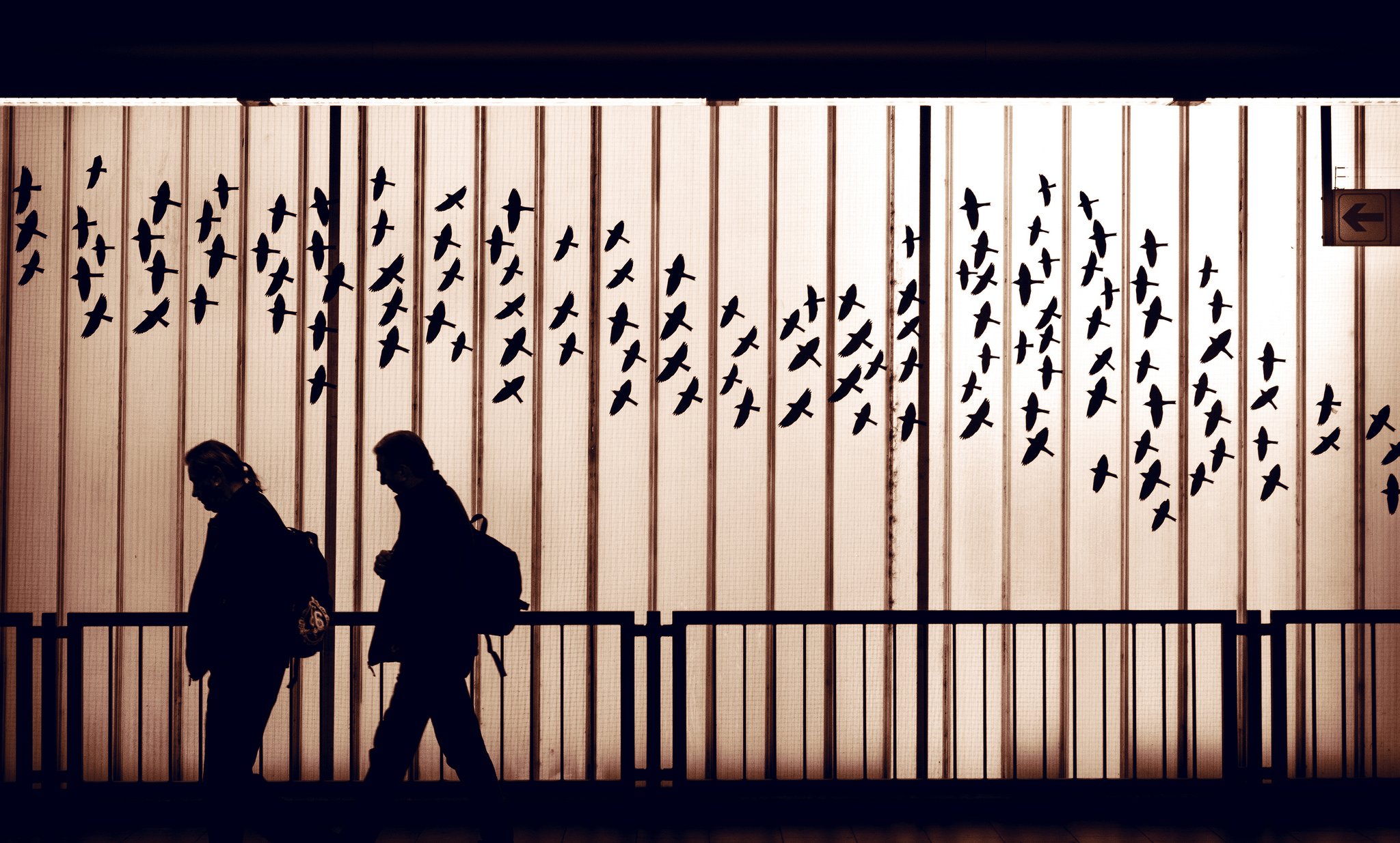 23293848975_105d556051_k 23293848975_105d556051_k