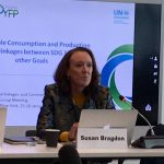 QUNO attends expert group on “Advancing the 2030 Agenda” organized by the UN DESC