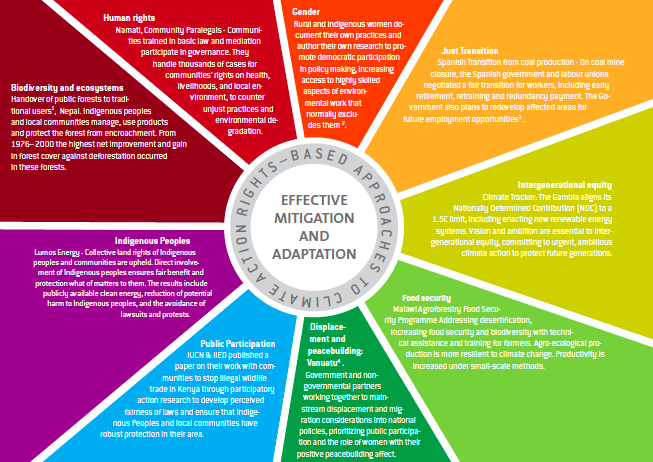 Screen Shot 2019-06-24 at 17