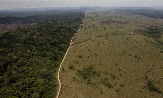 Deforestation in Brazil’s Para state. Andre Penner/AP