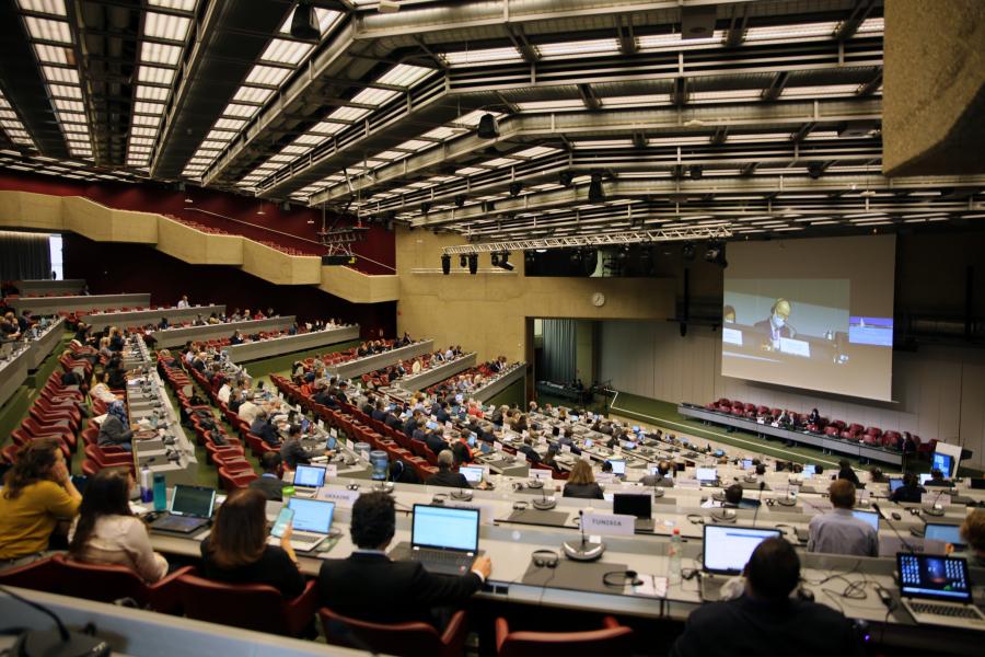 IPCC 57 Plenary