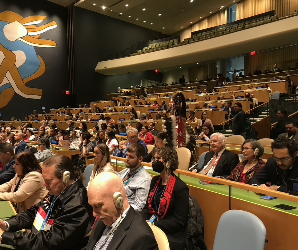 CFSC UNPFII