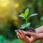 Quakers involvement in the UN Human Rights Prize 2023