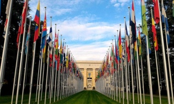 UN flags