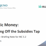 Plastic Money: Turning Off the Subsidies Tap (Phase 3 – Briefing Note for INC 5.2)