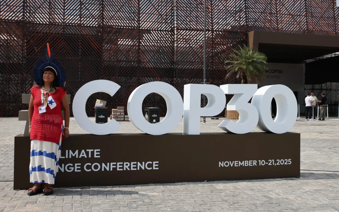 QUNO attends COP30 in Brazil: Report 2 of 2